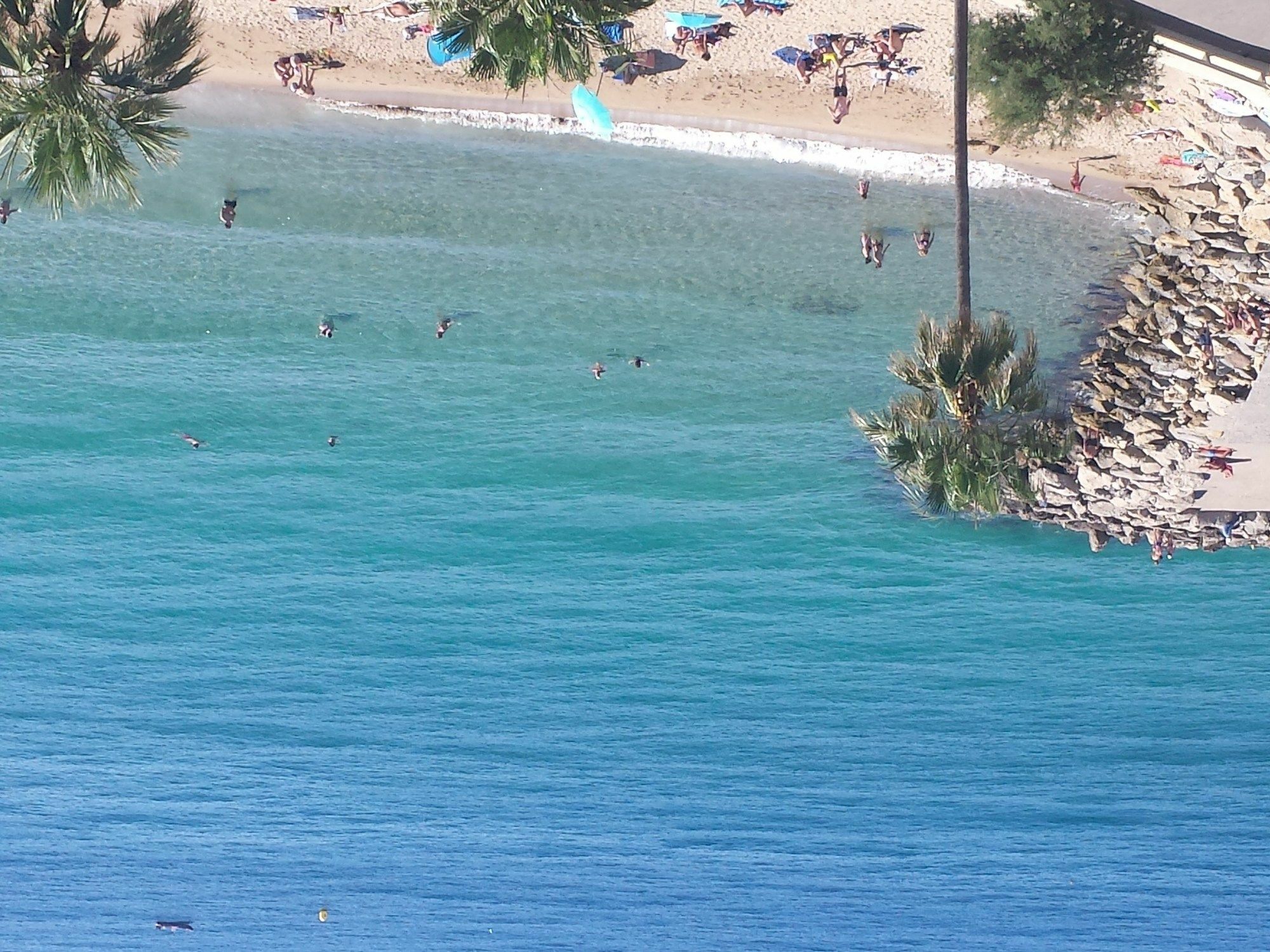 Les Princes Cannes